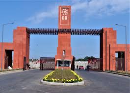 Online BBA Degree  at Chandīgarh university